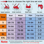 Women’s Sexy Lace Lingerie Set – Sheer Ruffle Bra & Strappy High-Waist Thong, Elegant Transparent Underwear