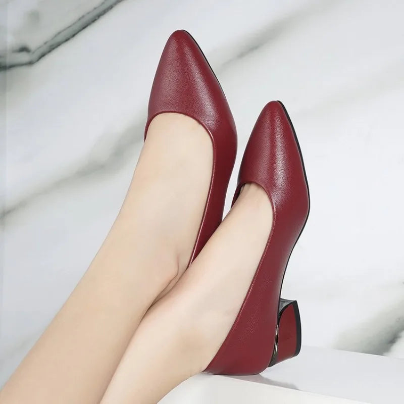 2026 Women Pointed Toe High Heels Shoes New Fashion Pumps Outdoor Anti-slip Designer Shoes Elegant Shoes