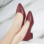 2026 Women Pointed Toe High Heels Shoes New Fashion Pumps Outdoor Anti-slip Designer Shoes Elegant Shoes