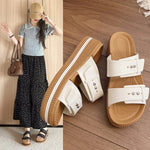 Thick Heel Sandals Women's Summer Outdoor Casual Double Buckle Beach Slippers Comfortable Lazy People Design Sensation