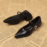 Elegant Pointed Toe Women Heels Shoes Chunky Fashion Heeled Sandals Summer 2026 Fashion Party Pumps New Dress Muejr De Sandalias