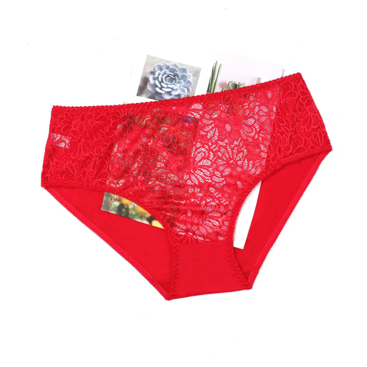 Beauwear Half Transparent Breathable Lace Panties for Women Plus Size Underwear Sexy Lingerie 0XL 1XL 2XL 3XL 4XL 5XL-7121#P