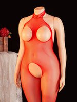 Women's Netted Bodysuit Open Crotch High Cut One Piece Teddy Sexy Lingerie Fishnet Leotard Erotic Costume