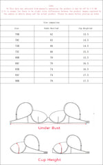 pure desire Bra for Women – 3/4 Cup Underwire Push Up Bra lace sexy Lingerie party brassiere(B-C Cup)L2957