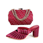 2024 Newest Hot Selling Gold Color Platform Design Peep Toe Ladies Shoes Matching Bag Set For Mature Women Party PumpTR1-2