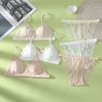 Women Lace Bra And Panties Set Embroidery Lace Bralette Underwear Set Push Up Brassiere Low Briefs Female Sexy Lingerie Set