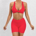 Seamless Yoga Fitness Sets Women High Waist Hip-Lifting Shorts & Sports Bra Workout for Running Gym