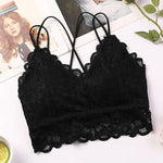 Women Lace Bras Sexy Bralette Solid Color Underwear Female Wireless Underwear Comfort Sexy Lingerie Seamless Push-Up Bra Padded