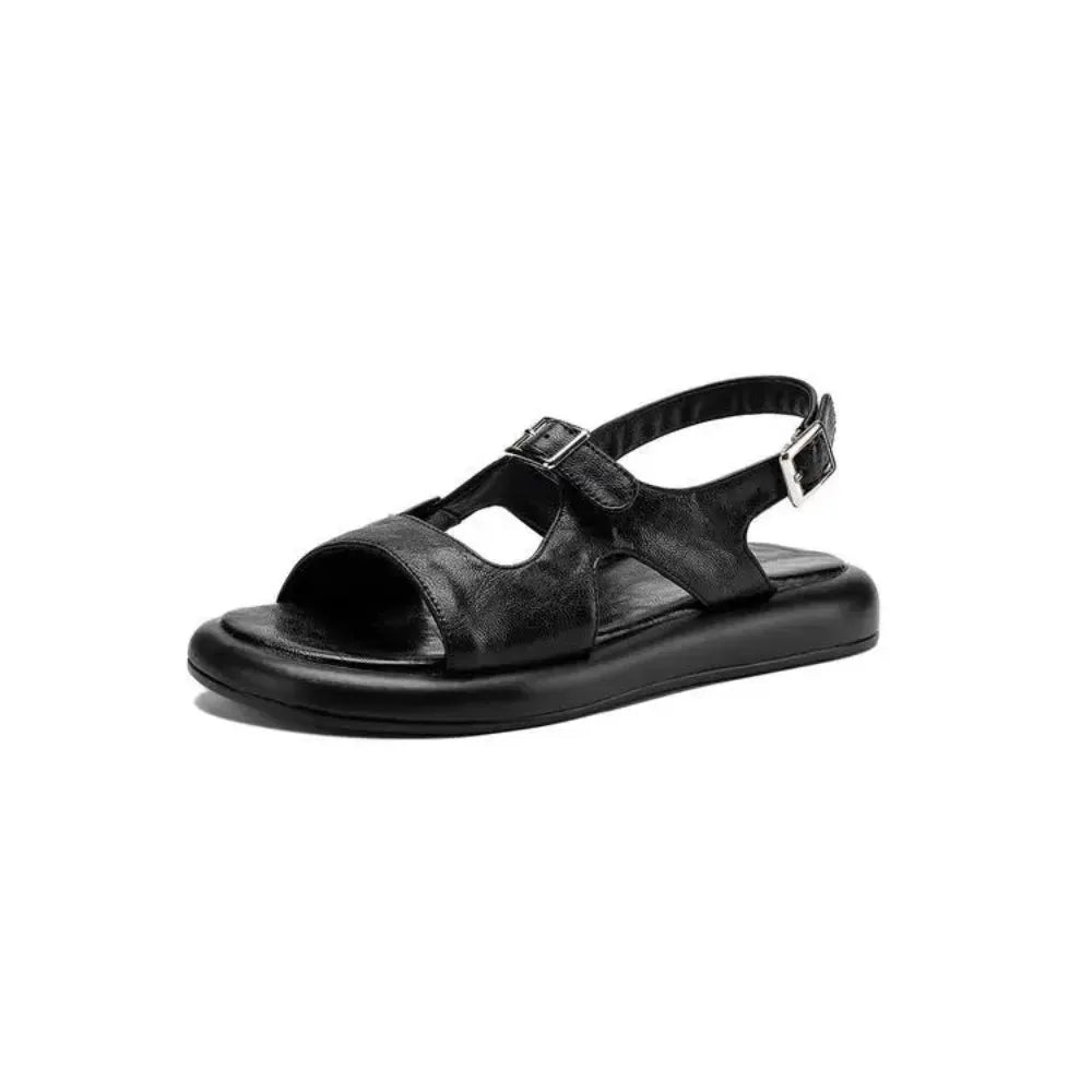 Spring and Summer New Model Fashion Low Heel Women's Shoes Fish Mouth Open-toe Buckle Casual Student Women's Sandals High 2.5cm
