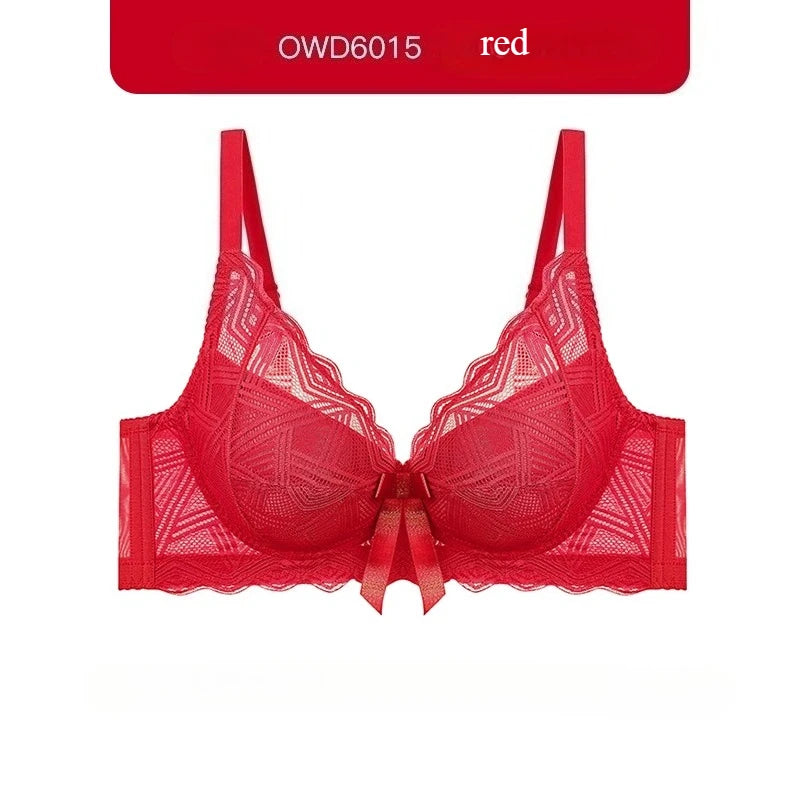 Minimizer Full Coverage Bra Plus Size70-95 B-F Sheer Lace Underwire Underwear Side Support Slimming Demi Cup Lingerie for Women