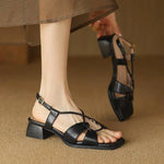 2026Summer New Model Fashion Middle Heeled Women's Sandals Black Buckle Open-toe Comfortable Hollow-out Women's Shoes High 3.5cm