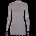 Women Mesh Dress Spring Autumn Sexy Sheer Mesh Long Sleeve Package Hip Sheath Dress Lady Sexy Club Body Wrap Mini Short Vestidos