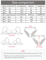 2 set with semi-sheer Bras for Women Full Coverage Underwire Bras Plus Size Lifting Lace Bra for Heavy Breast YS2593