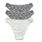 3Pcs/Set Women Panties Low Rise Briefs Seamless Underwear Female Underpants Comfort Strench Panties Sexy Lingerie S-XL