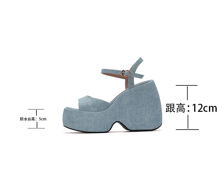2025 New Summer Women High Heel Shoes Platform Square High Heel Ladies Sandals PU Leather Open Toe Buckle Dress Women Shoes