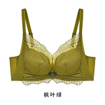Autumn Winter Women's Lace Underwire 2024 Push Up Bra Sexy Underwear Bras for Women Bralette Lace Bra Lingerie Intimates SWD9021