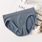 Women's Panties Low Rise Briefs Seamless Underwear Female Underpants Lingerie Sexy Ladies Panties M-L Comfort Intimate