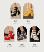 NASBAVI Women Sandals High Heels Summer Fashion Ankle Buckle Strap Female Gladiator Sandals Platform Shoes Block Heels Size 45