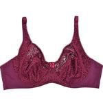 Plus Size Womens Lace Bra Lager Bosom See through Bralette Underwired Sexy Lingerie 34 36 38 40 42 44 B C D DD E F Cup