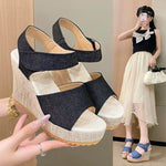 High-heeled Wedge Platform Fish Mouth 2026 New Women's Peep Toe Sandals Womens Shoes Comfort Summer Designer Shoes