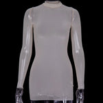 Women Mesh Dress Spring Autumn Sexy Sheer Mesh Long Sleeve Package Hip Sheath Dress Lady Sexy Club Body Wrap Mini Short Vestidos
