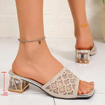 Shoes for Ladies New Summer Outside Women's Slippers Fashion Square Heel Sexy Mesh Sandals Casual Daily Femmale Shoes