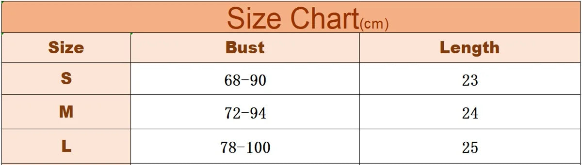 Sexy Lace Floral Embroidery Bow Corset For Women Camisole Sheer Mesh Fishbone Slim Crop Top Wired Bra Camis Festival Lingerie