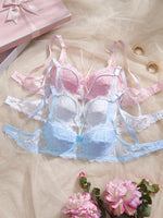 3PCS Lace Women's Underwear Set Sexy Mesh Lace Push-Up Bra Stylish Comfy Underwire Lingerie Bra for Women