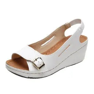 Summer Sandals Women Fish Mouth Fashion Comfort Roman Shoes Buckle Peep Toe Casual Beach Wedge Platform Female Sandals