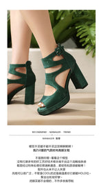 Summer Sexy Gladiator Women Sandals Designer Peep Toe Hollow Out High Heels Platform Party Ladies Shoes Zipper Sandales Femmes