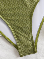Sexy Metal Buckle High Waist Bikini Set Women Black Green Pleate Push Up Bra Swimwear Beach Bathing Suit Two Piece Swimsuit 2026