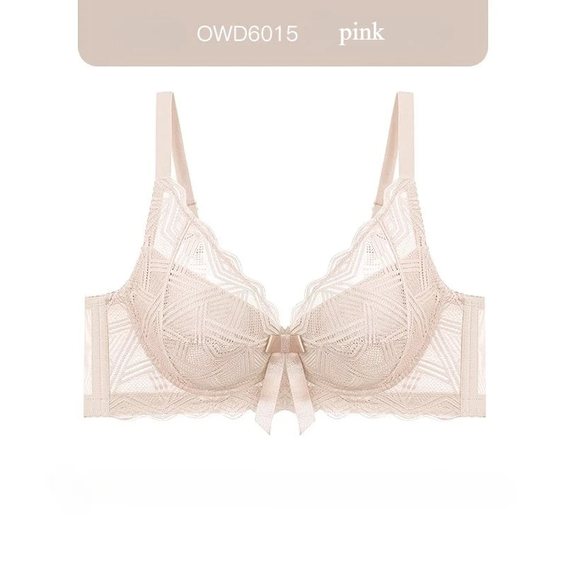 Minimizer Full Coverage Bra Plus Size70-95 B-F Sheer Lace Underwire Underwear Side Support Slimming Demi Cup Lingerie for Women