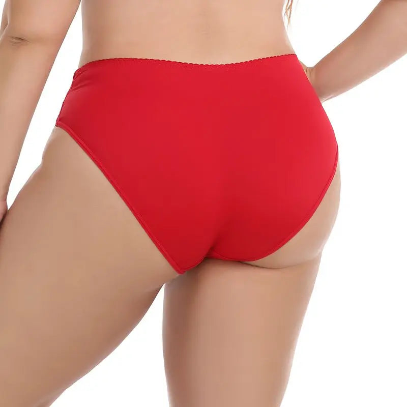 Beauwear Half Transparent Lace Underwear for Women Solid Color Panties Unlined Lingerie