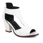 Fish Mouth High Heel Shoes Women's Summer Thick Heel Sandals Waterproof Platform Thick Sole Sexy Slim Back Zipper Hollow
