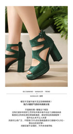 Summer Sexy Gladiator Women Sandals Designer Peep Toe Hollow Out High Heels Platform Party Ladies Shoes Zipper Sandales Femmes