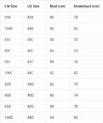 Women's Plus Size Lace Push Up Bra Underwire Side Support Anti-Sagging with Wide Adjustable Straps Brassiere