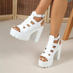 High Heel Sandals Women's Summer New Thick Heel Waterproof Platform Thick BottomFashion Shoesluxury sandals