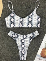 2026 Sexy Leopard Brazilian Bikini Female Swimsuit Women Swimwear Two Pieces Bikini Set High Cut Push Up Bathing Suit Swim Lady