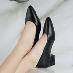 2026 Women Pointed Toe High Heels Shoes New Fashion Pumps Outdoor Anti-slip Designer Shoes Elegant Shoes