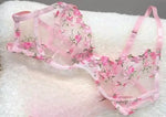 French Floral Bra Set Women | Sweet Sexy Sheer Mesh Lace, Transparent Underwear Set | Practical & Feminine MOYISU Sexy Panty Set