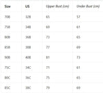 3, 6Pcs Elegant Bow Women's Underwear Set Lace Spliced Push up Bras French Soft Women's Bra Lingerie Underwear