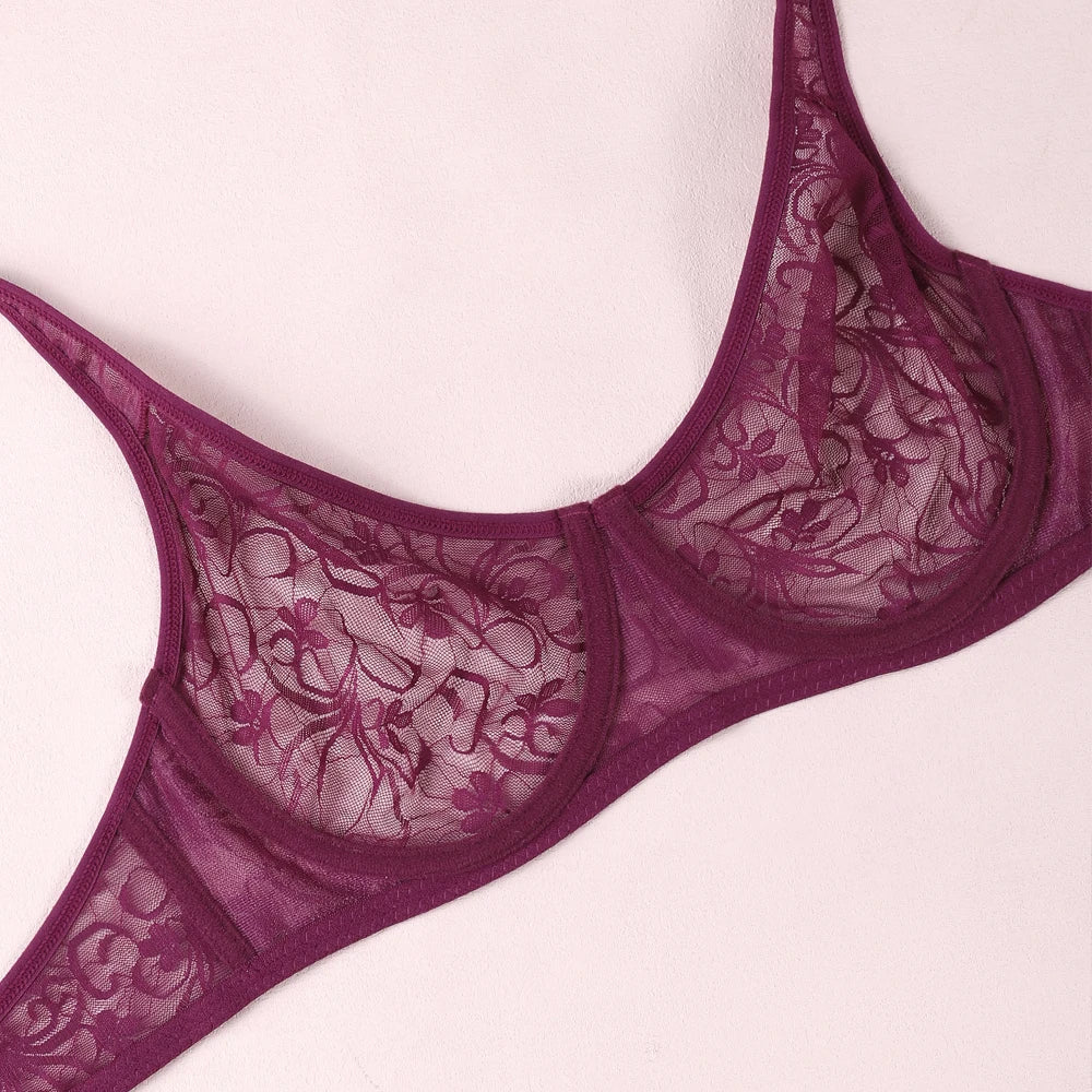 Sexy Lace Bras Transparent Ultra-Thin Sissy Lingerie Bra for Women See Through Embroidery Hollowed Out Brasserie A B C D DD Cup