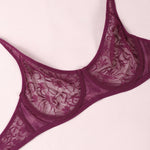 Sexy Lace Bras Transparent Ultra-Thin Sissy Lingerie Bra for Women See Through Embroidery Hollowed Out Brasserie A B C D DD Cup