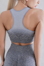 Gradient Sports Bra and Leggings Set - Ladyez