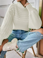 Textured Knit Turtleneck Long Sleeve Sweater