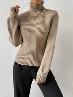 Ribbed Knit Turtleneck Sweater
