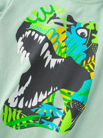 Children's Dinosaur Graphic Short Sleeve T-Shirt