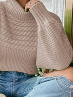 Textured Knit Turtleneck Long Sleeve Sweater