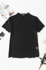 Sheer Mesh Short Sleeve Top - Ladyez