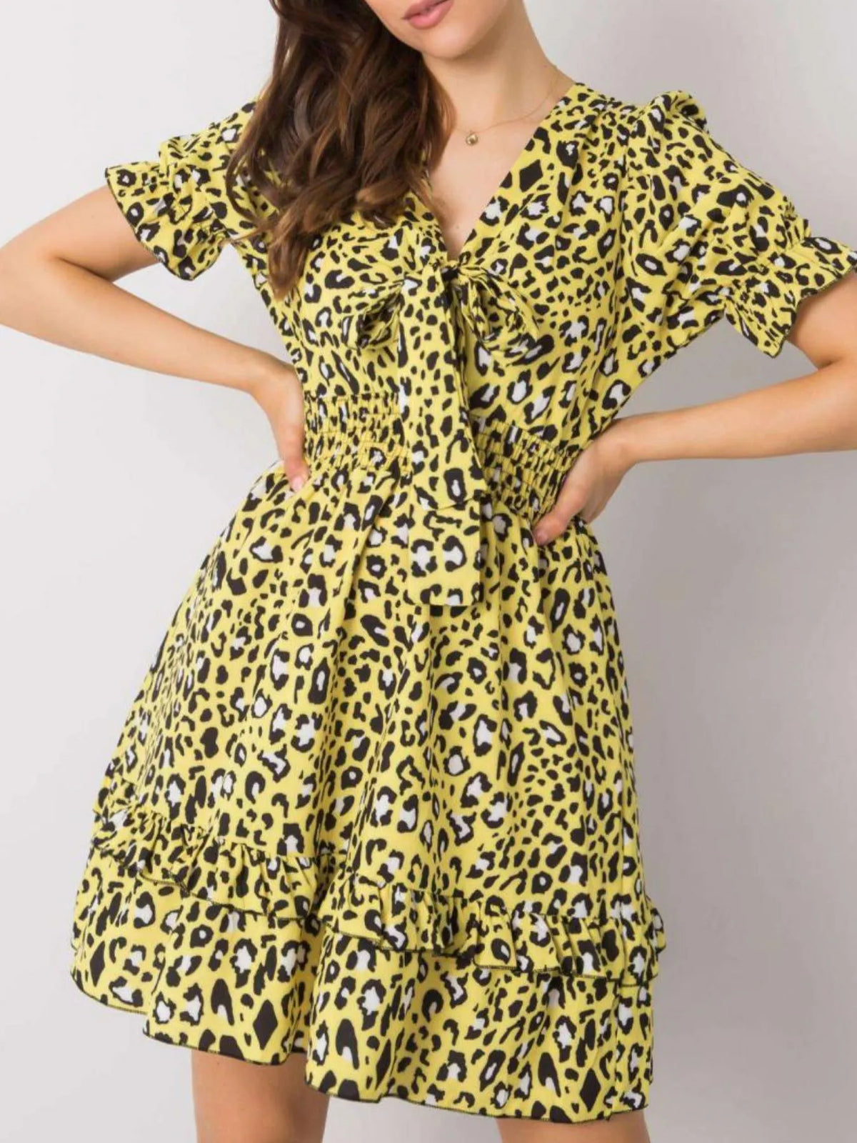 Leopard Print Tie Front Short Sleeve Mini Dress